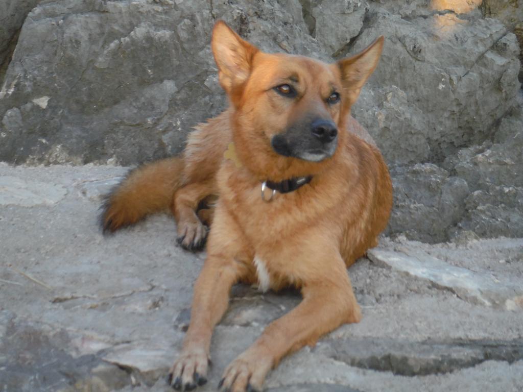 Luznar
